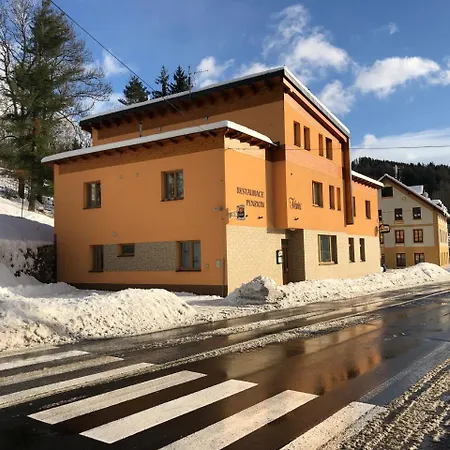 Fenix Guest house 3*