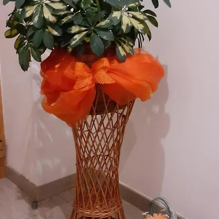 Fenix Vrchlabi