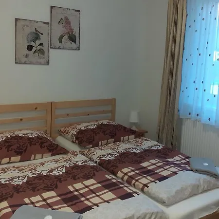 Fenix Guest house 3*